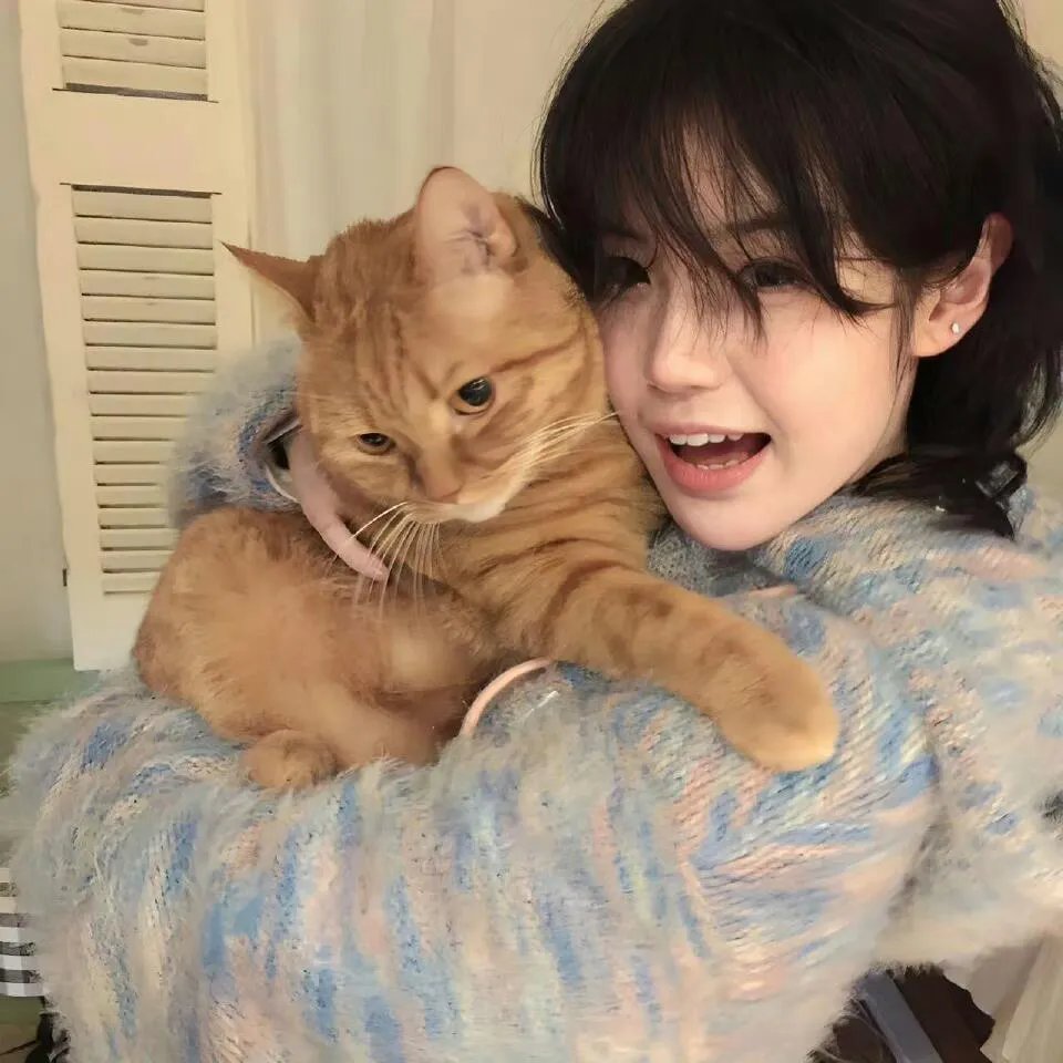 老年婚姻过不好离不了