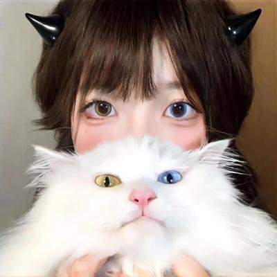 银河护卫队：圣诞特别篇